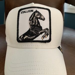 Goorin Brothers Stallion hat